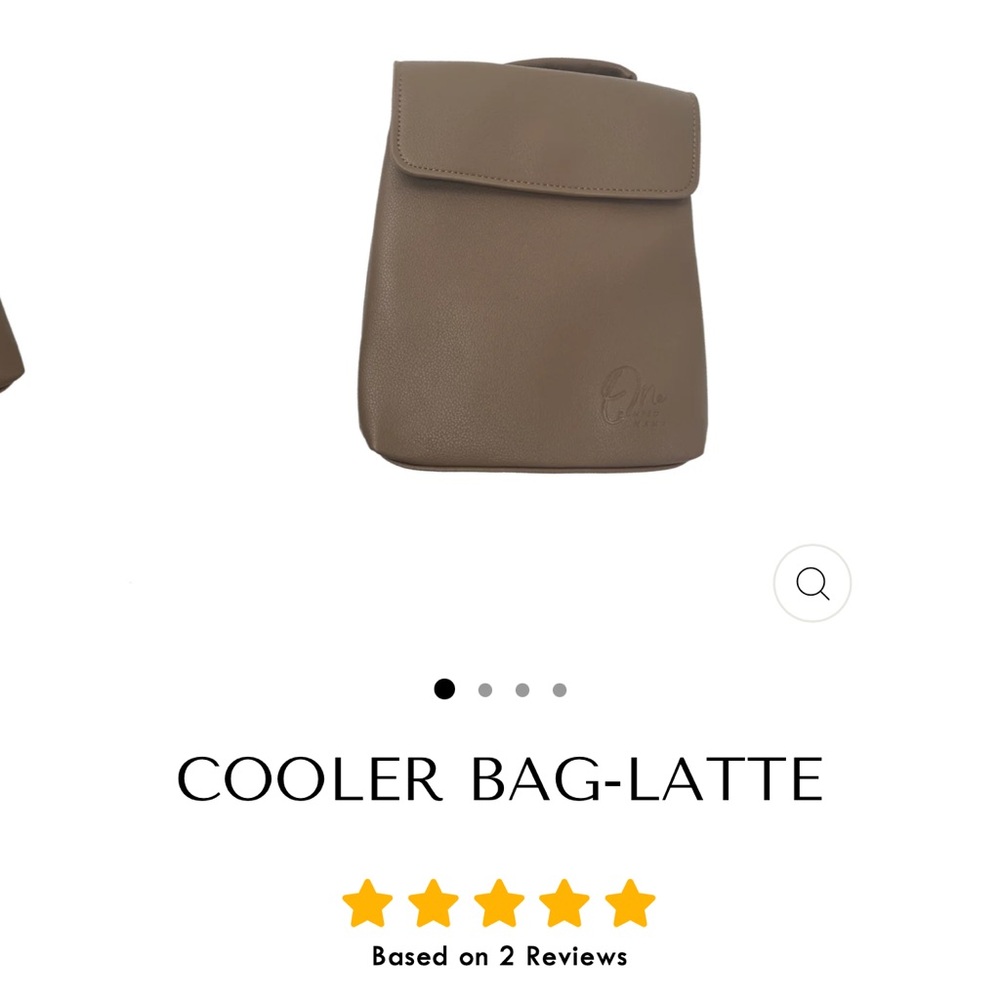 Pumping cooler bag